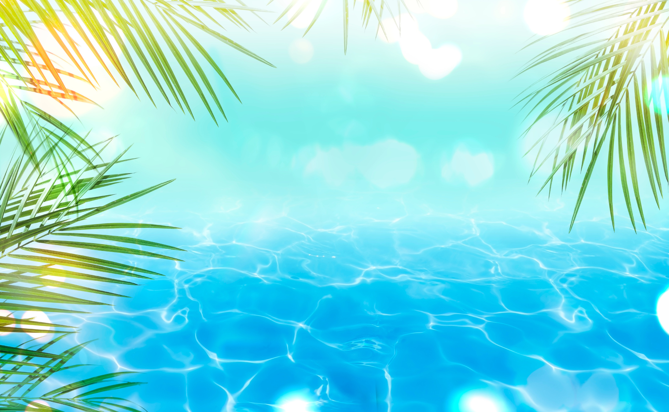 Summer background