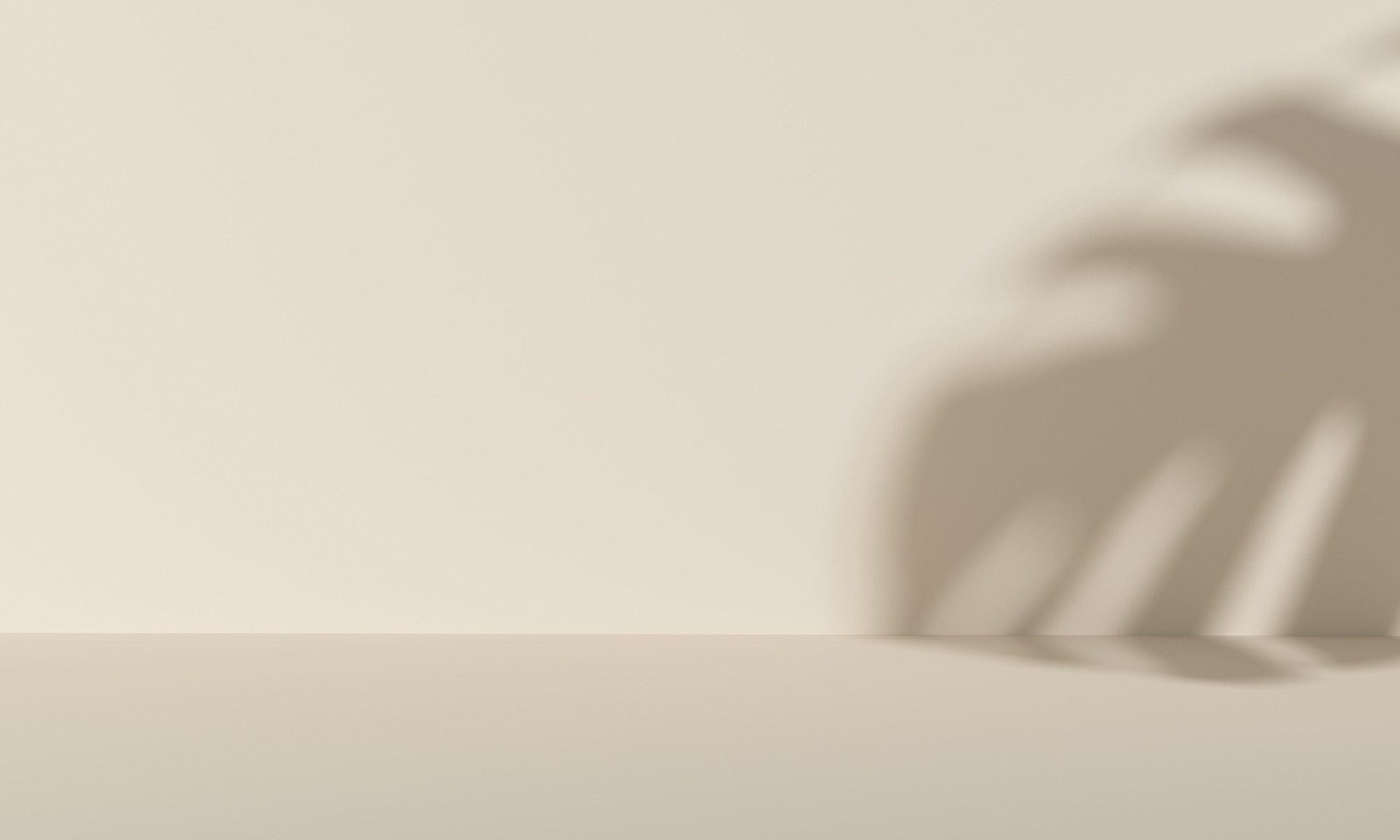 Minimalist studio with natural light on mojo background for